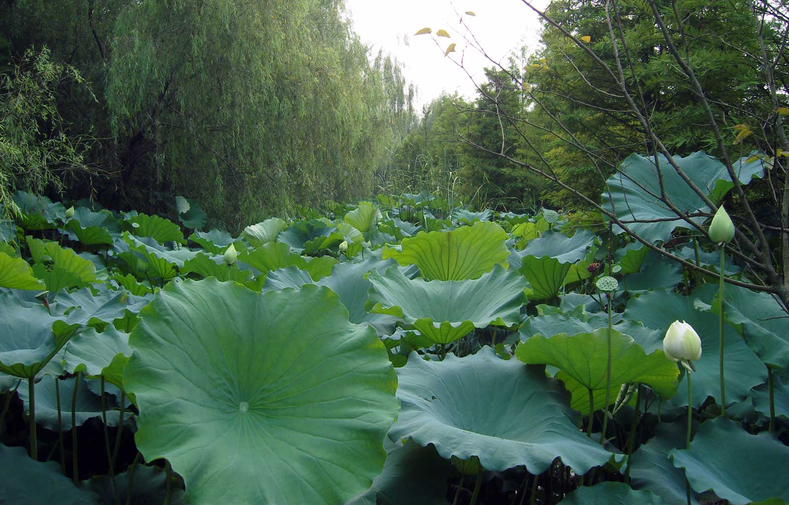 whiteriver_qinhu_besucherzentrum_00_1600x1024