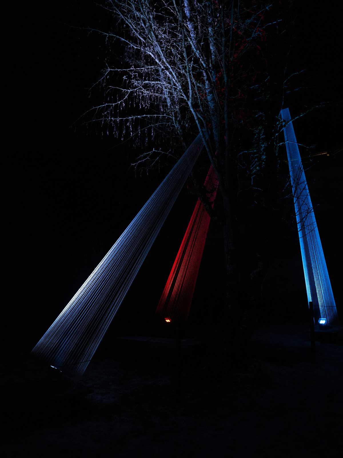 Lichterpfad-2022_16_copyright_Daniel-Scheidgen_1200x1600px