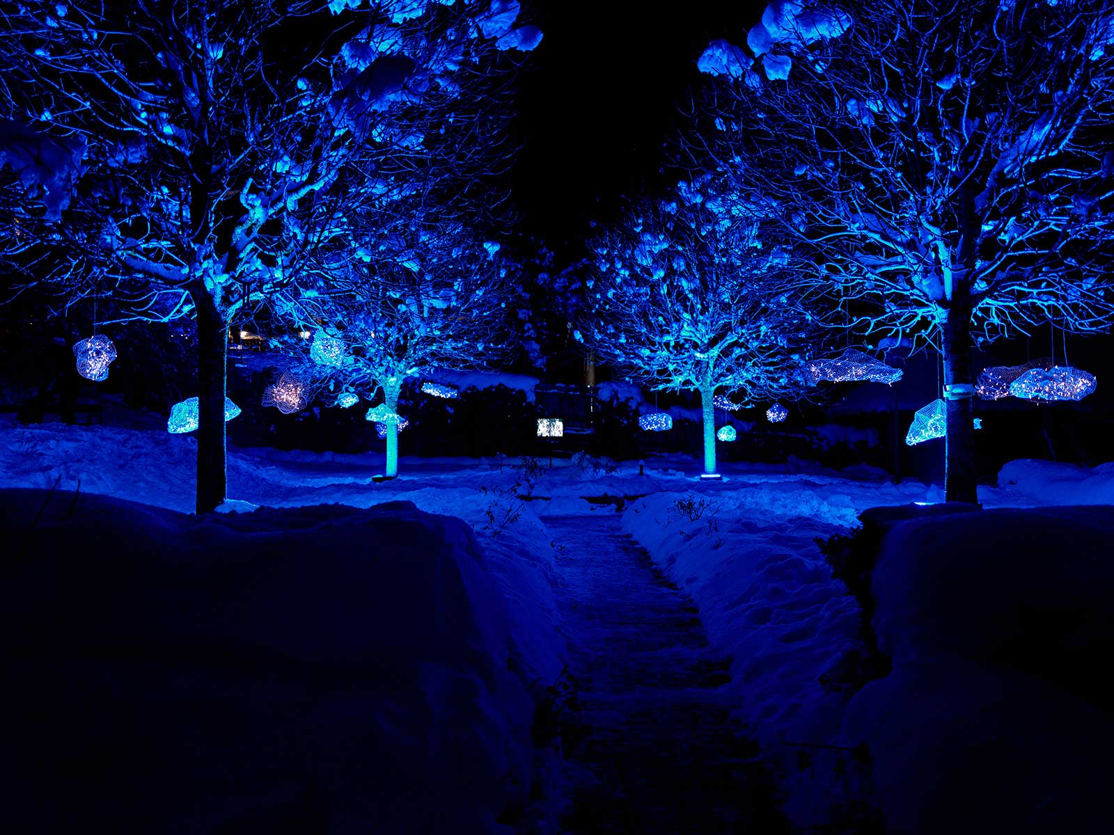 Lichterpfad-2023_03_copyright_Daniel-Scheidgen_1600x1200px