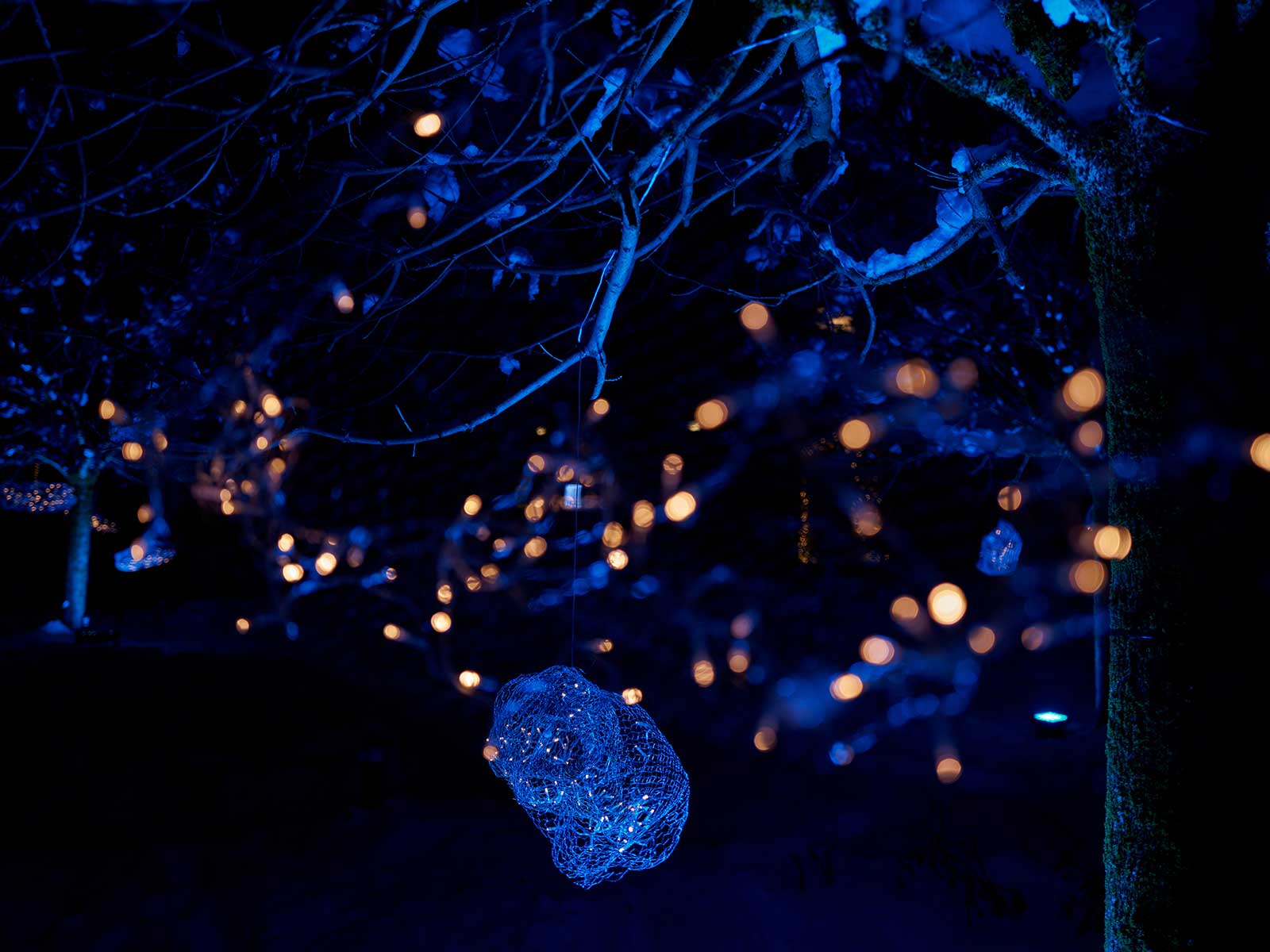 Lichterpfad-2023_07_copyright_Daniel-Scheidgen_1600x1200px