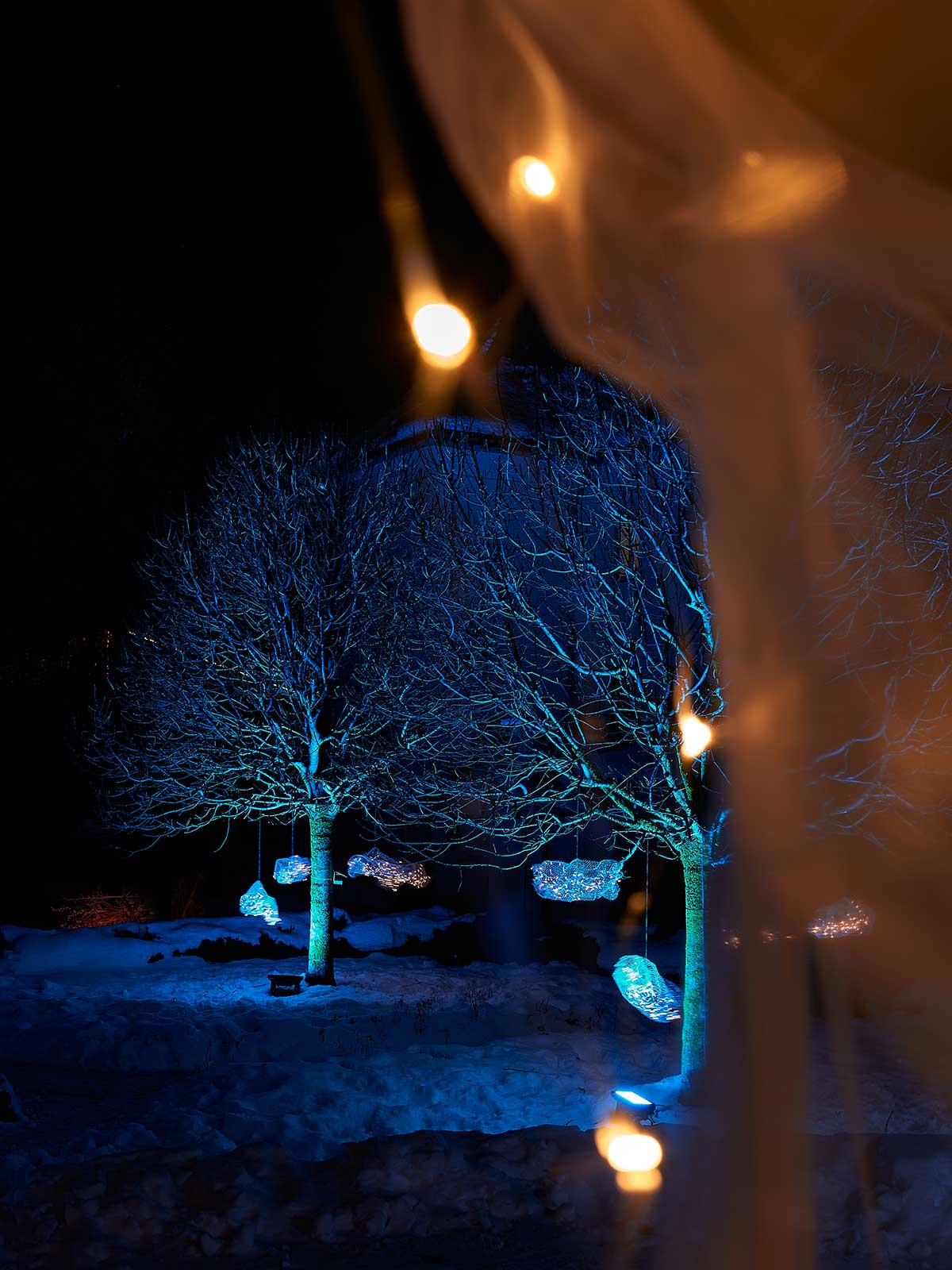 Lichterpfad-2023_11_copyright_Daniel-Scheidgen_1200x1600px